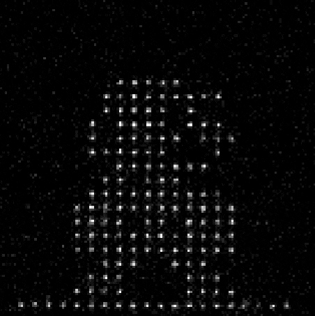 哈佛联合MIT实现256个量子比特模拟器或标志人类进入量子世界新领域